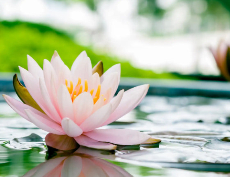 Ciondolo Fiore di loto con tormalina - immagine 8